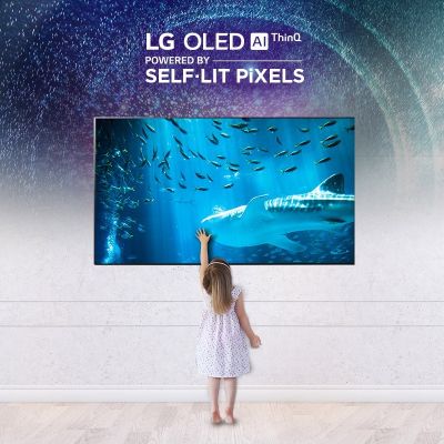Kateri televizor OLED naj izberem?